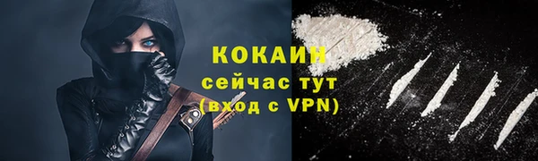 соль ск Алексин