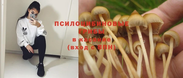 гашик Абинск