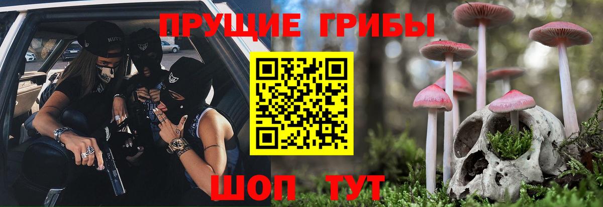 Татарск  Псилоцибиновые грибы мицелий  Вход с VPN  Псилоцибиновые грибы Psilocybe 
